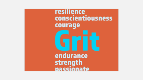CT IL Conference keynote - Coming Clean About Grit (11)