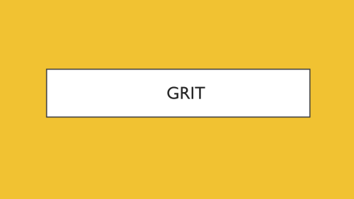 CT IL Conference keynote - Coming Clean About Grit (5)